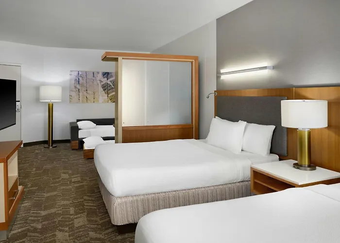Springhill Suites By Marriott Detroit Metro Airport Romulus